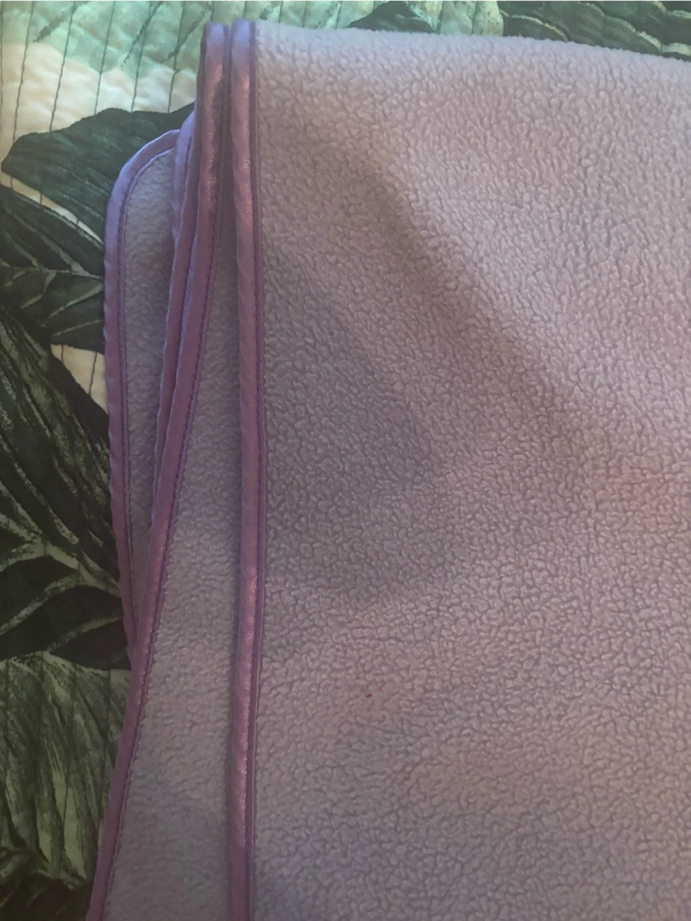 Disney  Princess purple Embroidered Fleece throw